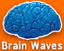 Brain Waves